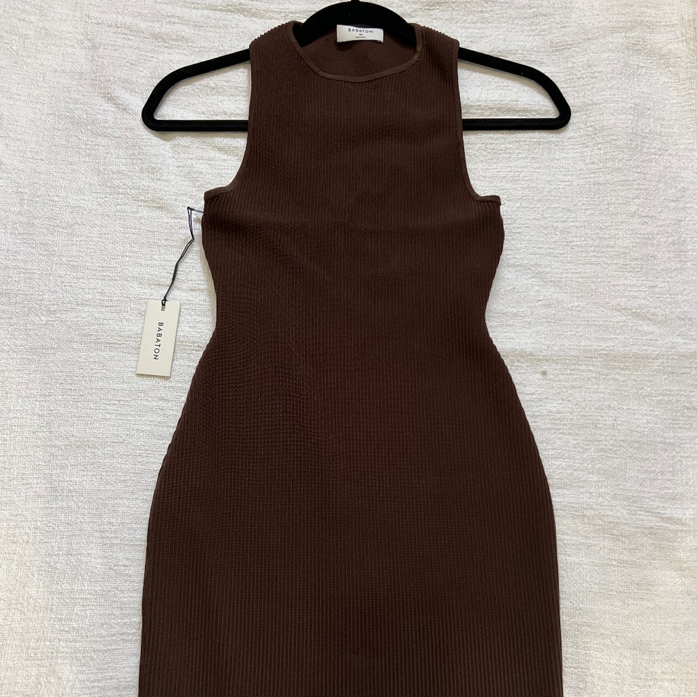 Brown Aritzia Dress